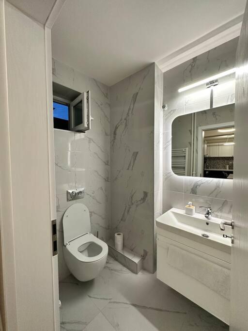 Ultracentral Luxury Apartament Тімішоара Екстер'єр фото